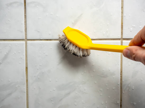 Home Mold Removal in Indianola, WA