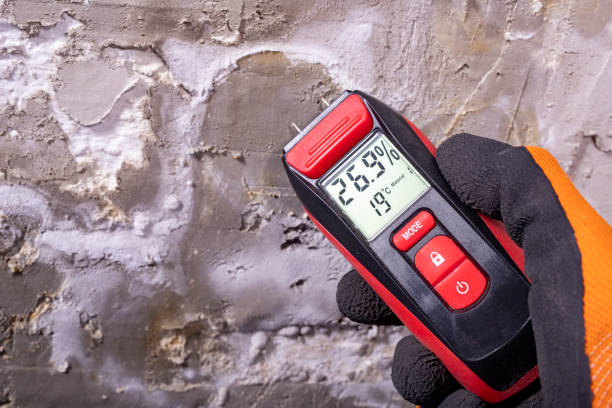 Best Mold Testing  in Indianola, WA