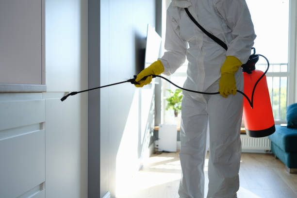 Best Black Mold Removal  in Indianola, WA