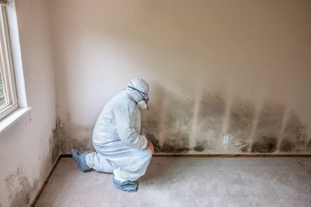 Best Mold Cleaning Services  in Indianola, WA
