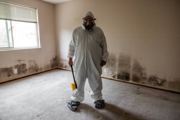 Best Emergency Mold Removal  in Indianola, WA