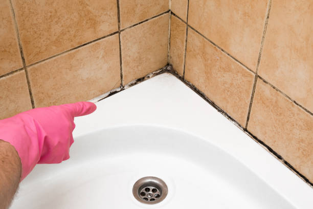 Best Commercial Mold Removal  in Indianola, WA